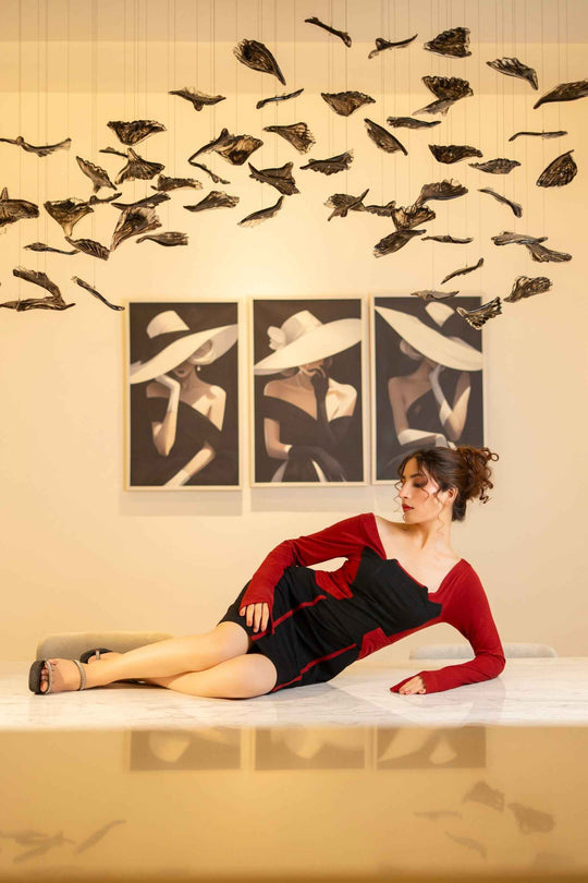 Jane Noir Panel Dress (Copy)