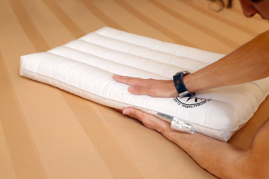 The Stance Bamboo Filled Pillow